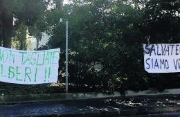 Giù i platani, web e minoranza contro