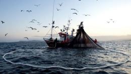 "Blue Coast Agreements 2030", sostenibilità nel mare
