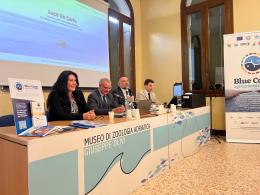 Mare e pesca, la sostenibilità della blue economy