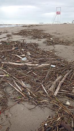 Spiagge ricoperte di detriti dopo la mareggiata