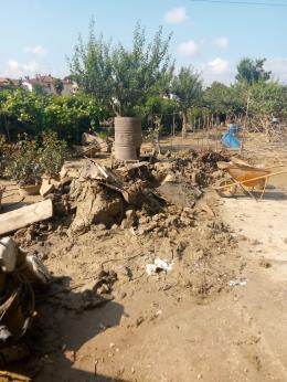 Danni ambientali nel territori,  il bilancio di Amico Giardiniere