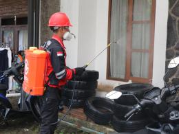 Scarafaggi, via alle disinfestazioni
