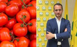 Pomodoro, Coldiretti: "Prioritario sottoscrivere l'accordo quadro 2024"
