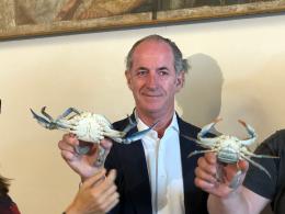 Il granchio blu nemico dei pescatori in conferenza a Venezia