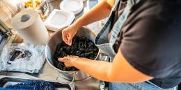 Mitilla mania, la cozza di Pellestrina conquista tutti