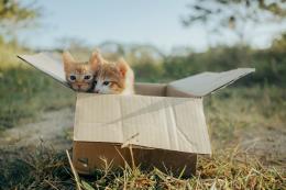 “Gattile a Ca’ Bianca troppo distante”