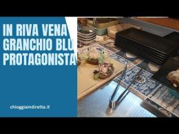 Il Granchio Blu protagonista in Riva Vena