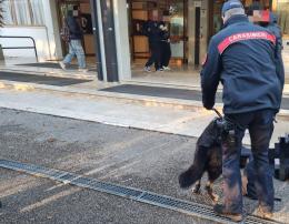 Scuola, controlli antidroga dei Carabinieri

