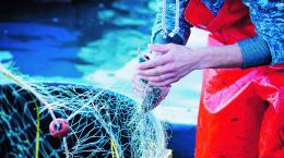 Fermo pesca, indennità tagliate