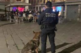 Pi&ugrave; di mille sanzioni in un anno a bar e ristoranti