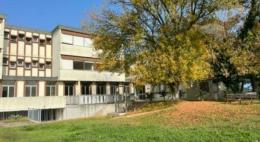Ex colonia marina, asta deserta