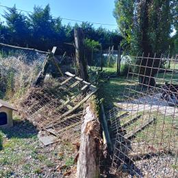 Distrutto il rifugio degli animali