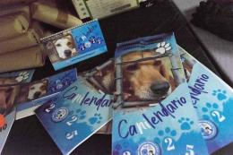 Tornano i calendari solidali
