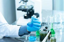 Veritas seleziona personale da inserire nei laboratori