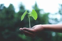 Il “benessere” parte dal pianeta