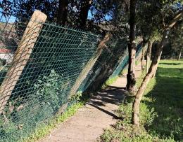 Canile, la recinzione  è pericolante