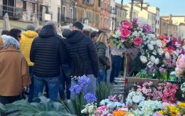 Il centro rifiorisce di bellezza