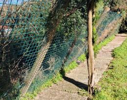 Canile: “Animali a rischio fuga”