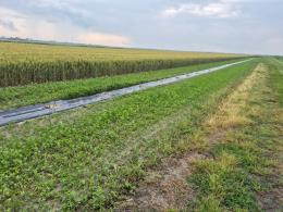 Agricoltori in prima fila a tutela dell'ambiente