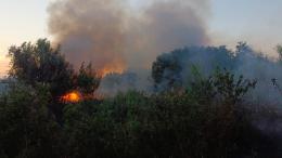 Incendio boschivo a Isola Verde, bruciati circa 40mila mq di verde