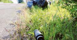 L’Ia al servizio dell’ambiente