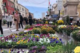 Il centro profuma d’autunno