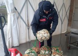 Capesante illegali, scatta il sequestro