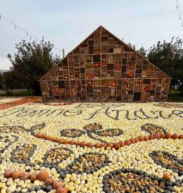 Zucche, natura e creatività: è boom di “zuccaturismo” in Italia e nel Nordest