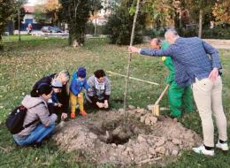 In città arrivano quasi 700 piante