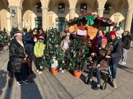 Tanti alberelli di solidarietà
