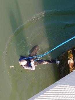 Uomo salvato dalle correnti dell'Adige