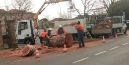 Verde, arriva la raccolta firme