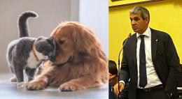 Pensioni per cani e gatti: nuove regole