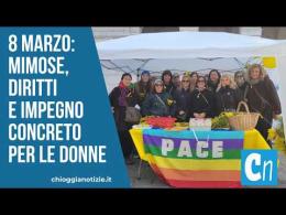 L&rsquo;8 Marzo 2026 a Chioggia: mimose, diritti e impegno concreto per le donne