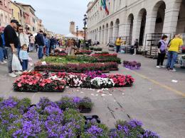 Un giardino lungo il Corso &egrave; la magia della citt&agrave; in fiore