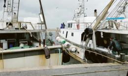 Oggi la Pesca si ferma: "Il carburante costa troppo"