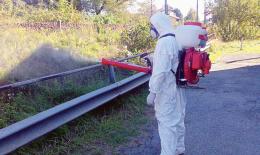 West nile: Tre decessi in un giorno, il bilancio delle vittime sale a 13 