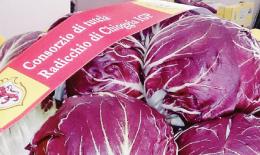 "Cambiamenti climatici, gli aiuti per il radicchio Igp ci sono"
