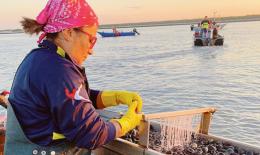 Blue economy, il lavoro c’è