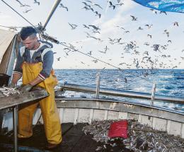 Stati generali, Armelao: “Sarà la riscossa della pesca”