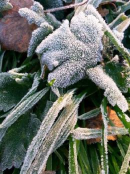 Notte di gelo in Veneto