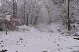 Meteo, torna la neve sulle Dolomiti