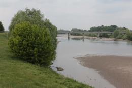 In arrivo finanziamenti per una barriera contro il cuneo salino sull'Adige