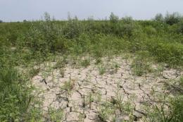 Manca l'acqua nella falda, agricoltori preoccupati
