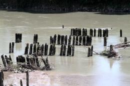 L'Adriatico invade i fiumi: salta l'irrigazione
