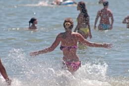 Un'alleanza per tutelare il mare