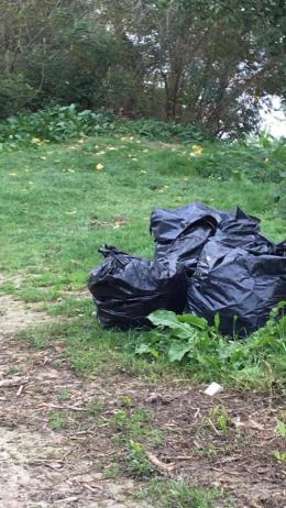 L'abbandono dei rifiuti costa nel 2025 &egrave; costato  1,5 milioni di euro 