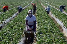 Lavoro, il Veneto si affida ai lavoratori stranieri