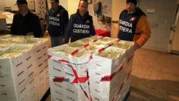 Maxi sequestro di pesce non tracciato