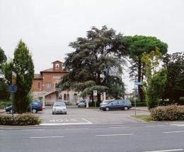 Fusione discussa in consiglio